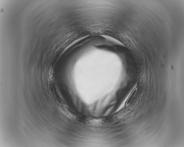 X0000086930081200705071404