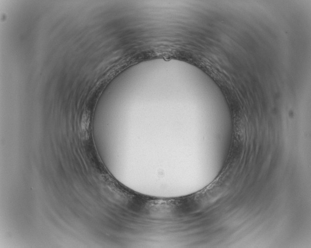 X0000086930082200705071404