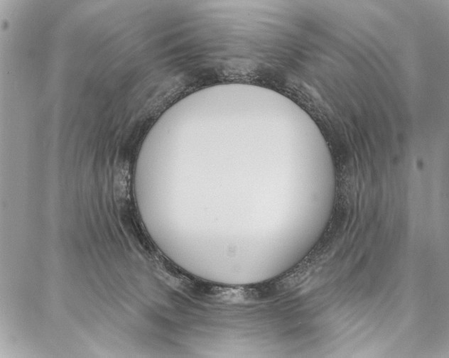 X0000086930083200705071404