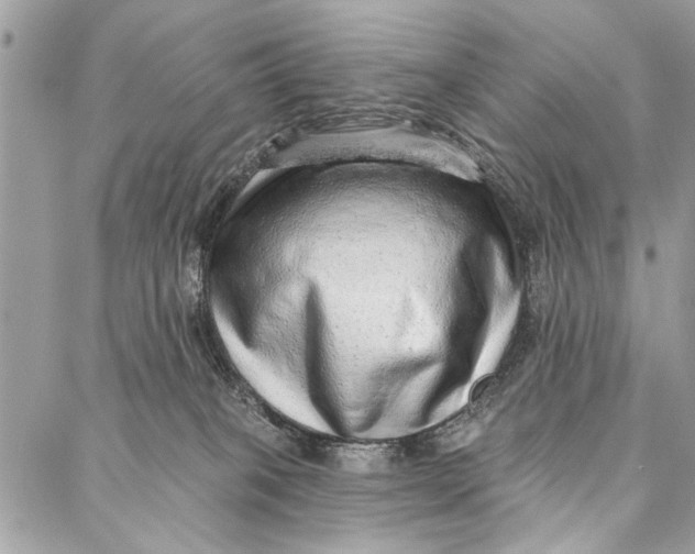 X0000086930085200705071404