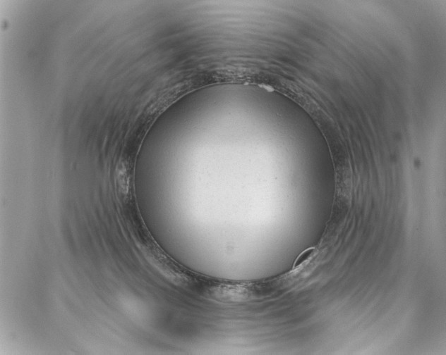 X0000086930086200705071404