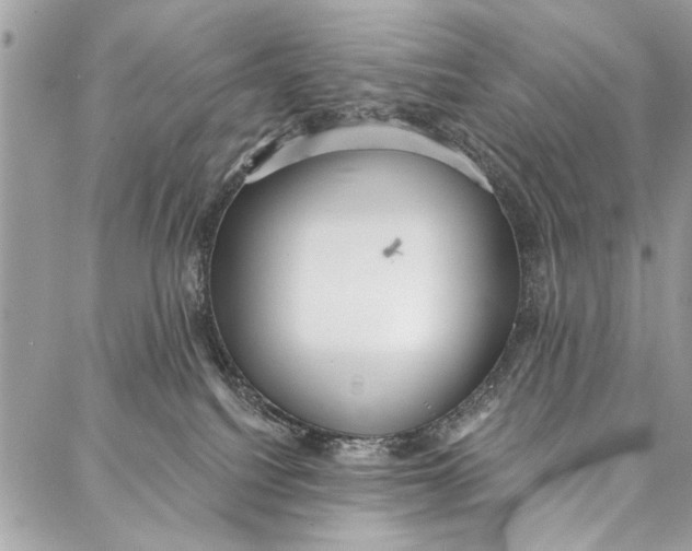 X0000086930088200705071404