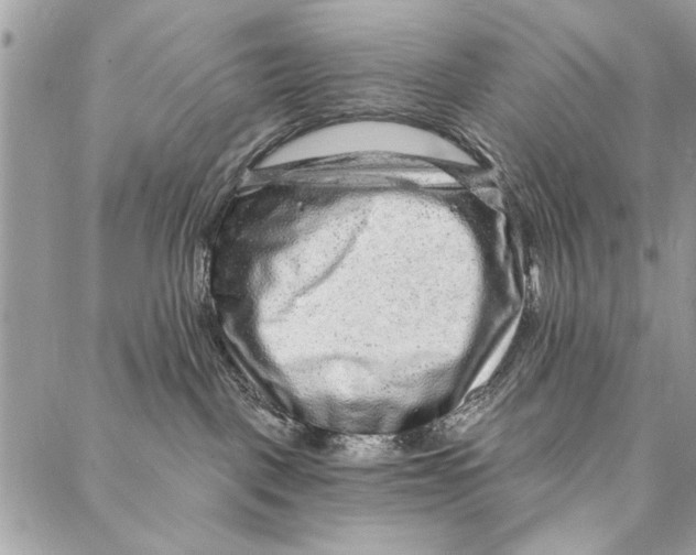 X0000086930093200705071404