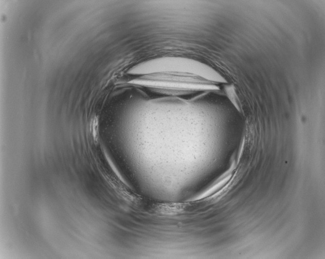 X0000086930094200705071404