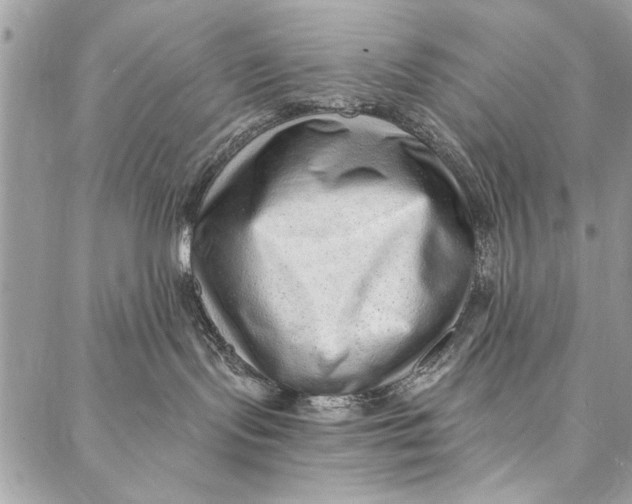 X0000086930095200705071404