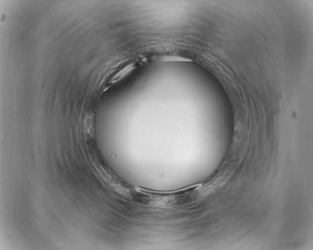 X0000086930096200705071404