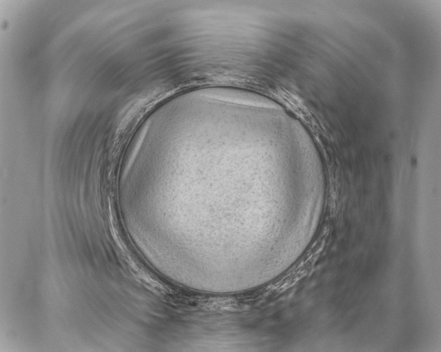 X0000086930097200705071403