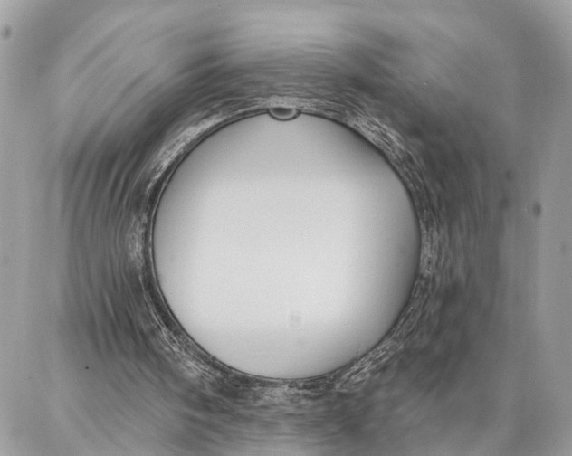 X0000086930098200705071403