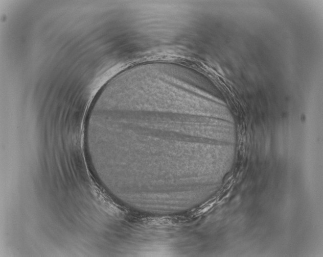 X0000086930100200705071403