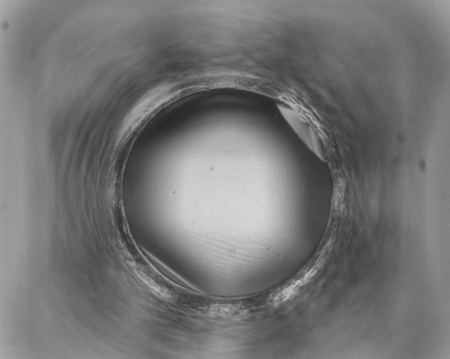 X0000086930101200705071403