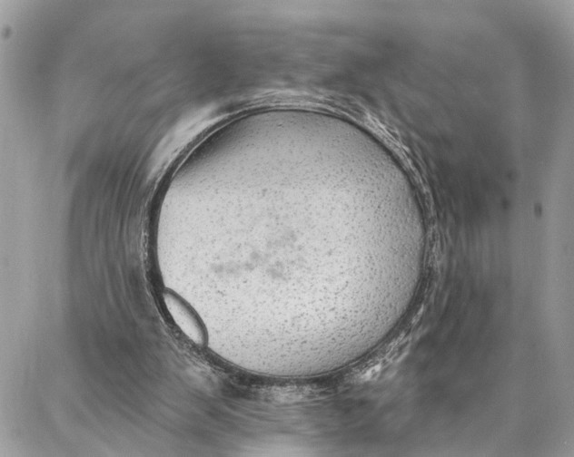 X0000086930103200705071403