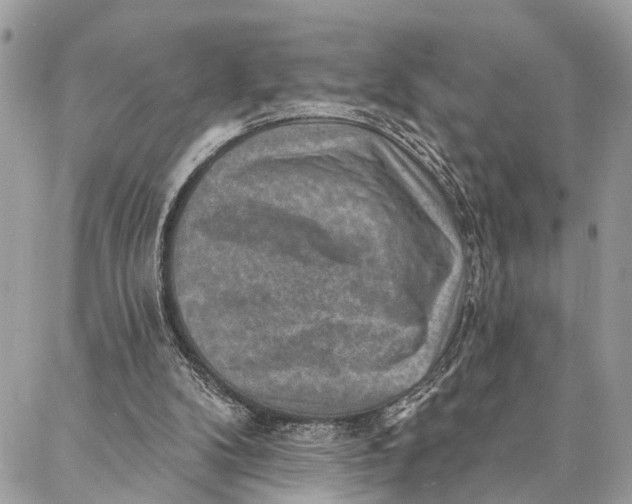 X0000086930104200705071403