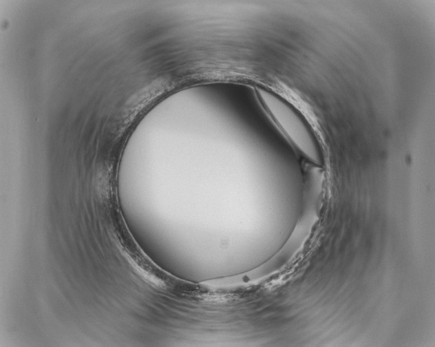 X0000086930105200705071403