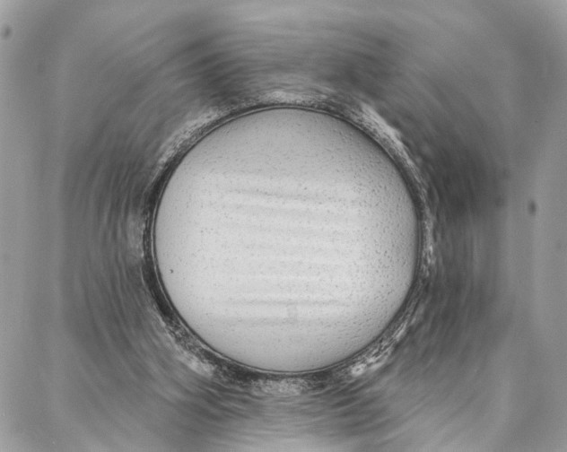 X0000086930106200705071403