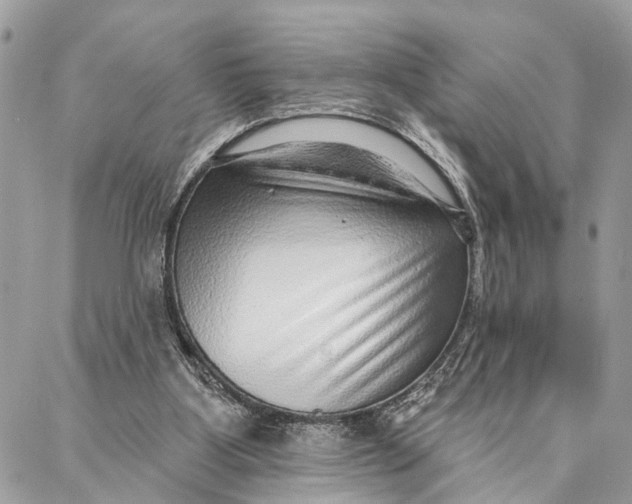 X0000086930107200705071403