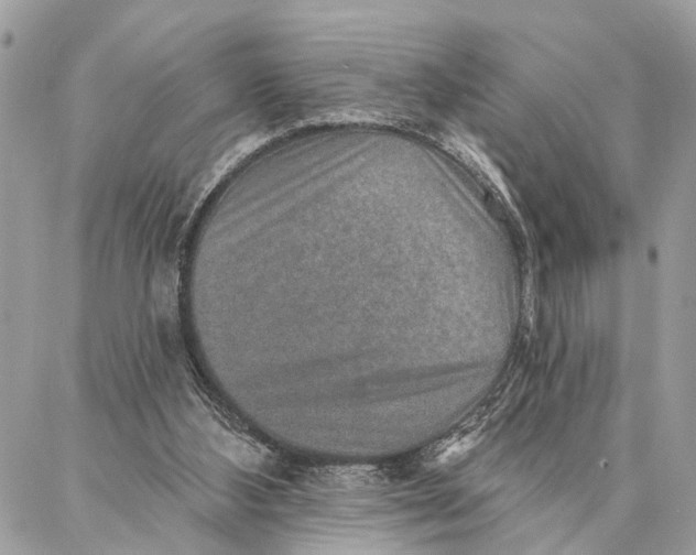 X0000086930108200705071403