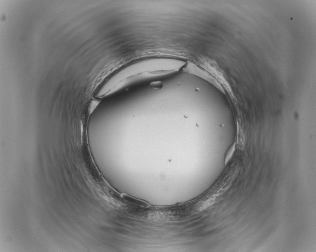 X0000086930109200705071403