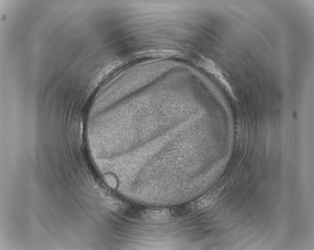 X0000086930110200705071403