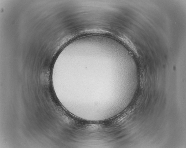 X0000086930111200705071403