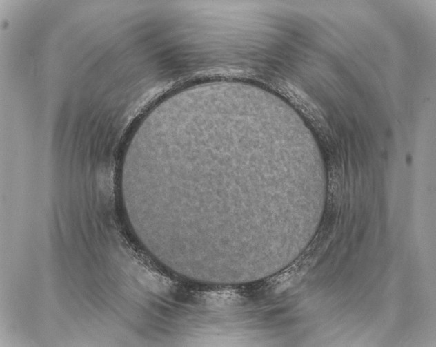 X0000086930112200705071403