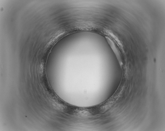 X0000086930113200705071403