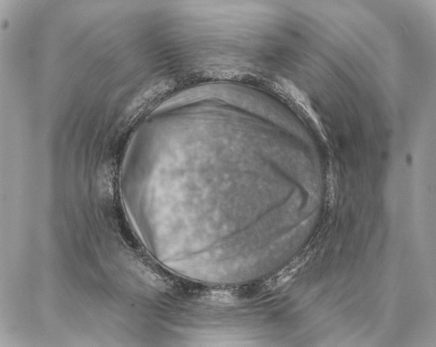 X0000086930114200705071403