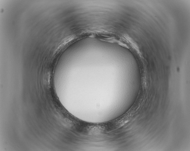 X0000086930115200705071403