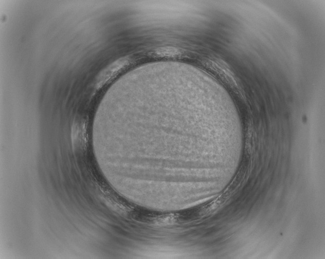 X0000086930116200705071403