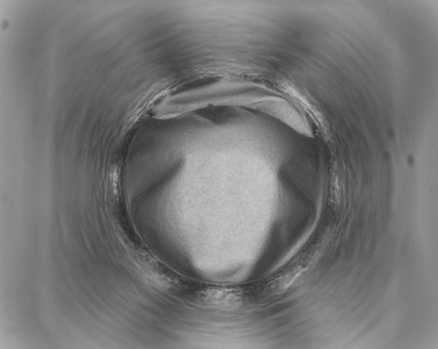 X0000086930117200705071403