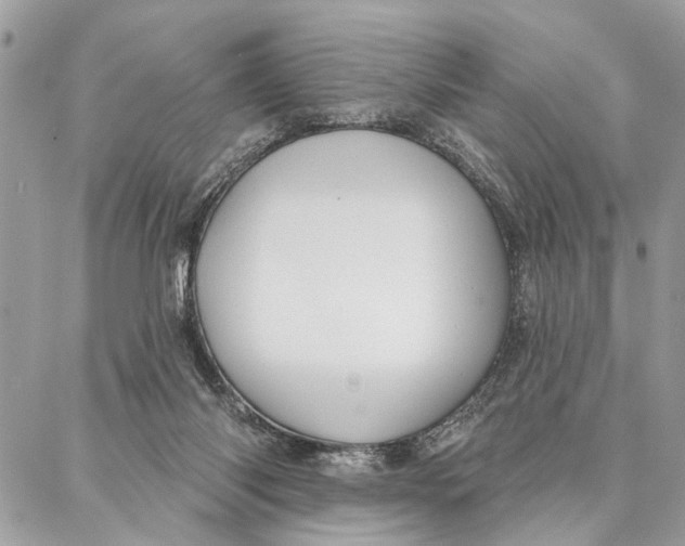 X0000086930118200705071403