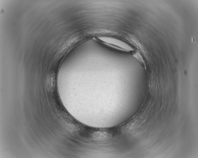 X0000086930119200705071403