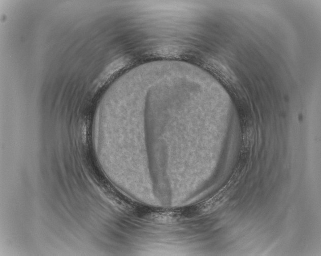 X0000086930120200705071403