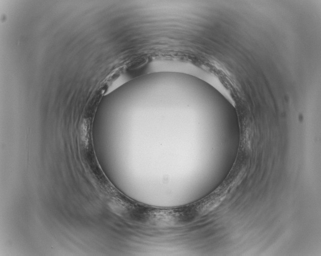 X0000086930121200705071403