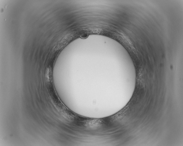 X0000086930122200705071403