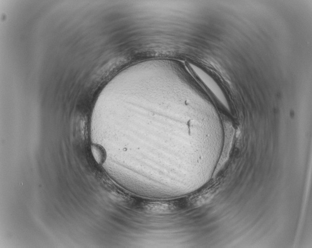 X0000086930123200705071403