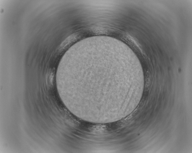 X0000086930124200705071403