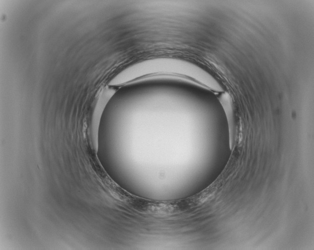 X0000086930125200705071403