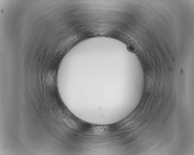 X0000086930126200705071403