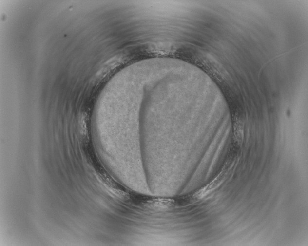 X0000086930128200705071402