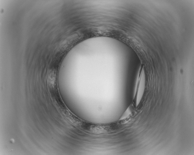 X0000086930129200705071402