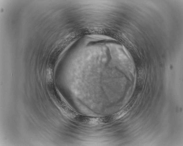 X0000086930130200705071402