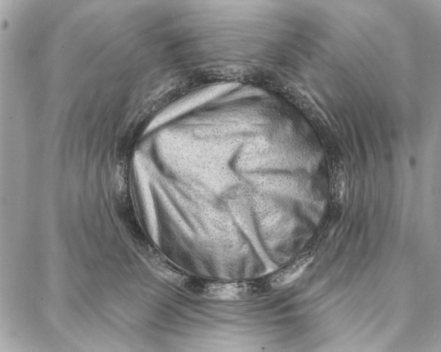 X0000086930131200705071402