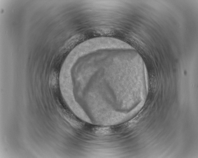 X0000086930132200705071402