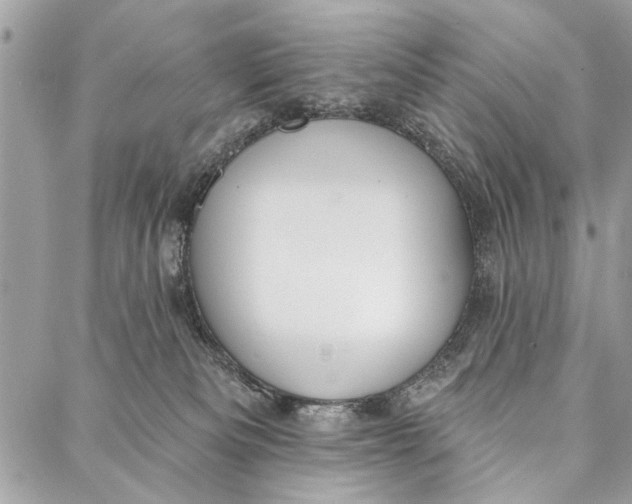 X0000086930133200705071402