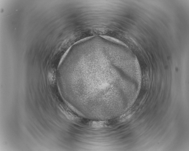 X0000086930134200705071402