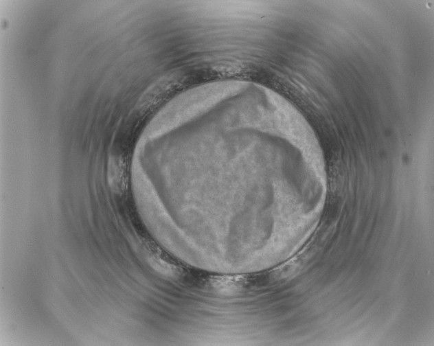 X0000086930136200705071402