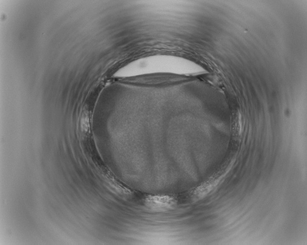 X0000086930137200705071402