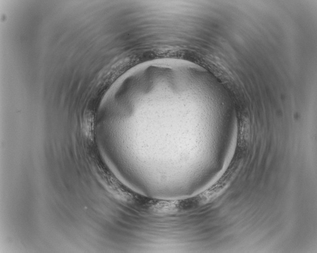 X0000086930138200705071402