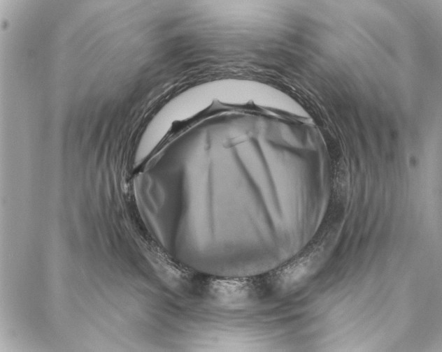 X0000086930139200705071402