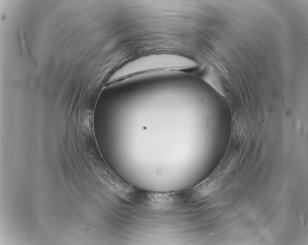 X0000086930141200705071402